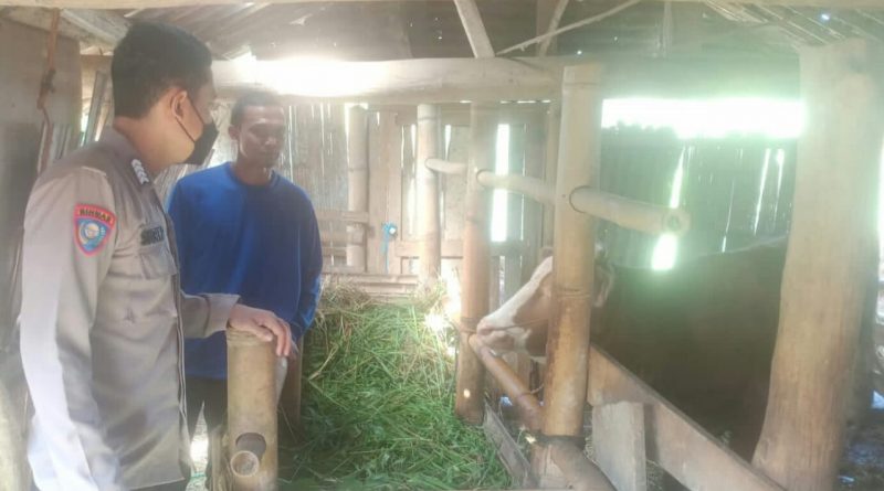 Polsek Limbangan Laksanakan Himbauan Pada Pemilik Ternak Sapi Selalu Jaga Kebersihan Kandang