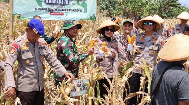 Panen Raya Jagung Kuartal III Tahun 2025, Polres Kendal Perkuat Ketahanan Pangan Nasional