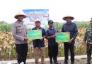 Panen Raya Jagung di Kendal, Kapolres Lepas Pengiriman ke Bulog