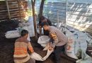 Dukung Ketahanan Pangan, Bhabinkamtibmas Sukorejo Olah Limbah Kandang Sendiri Jadi Pupuk Gratis Dukung Ketahanan Pangan, Bhabinkamtibmas Sukorejo Olah Limbah Kandang Sendiri Jadi Pupuk Gratis