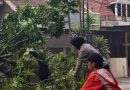 Quick Response Polres Kendal Evakuasi Pohon Tumbang di Jalur Pantura, Pastikan Keselamatan Pengguna Jalan Quick Response Polres Kendal Evakuasi Pohon Tumbang di Jalur Pantura, Pastikan Keselamatan Pengguna Jalan