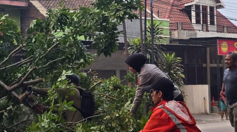 Quick Response Polres Kendal Evakuasi Pohon Tumbang di Jalur Pantura, Pastikan Keselamatan Pengguna Jalan Quick Response Polres Kendal Evakuasi Pohon Tumbang di Jalur Pantura, Pastikan Keselamatan Pengguna Jalan